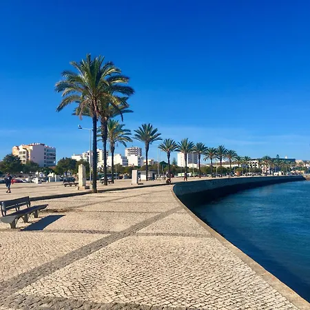 Paradise Sunshine