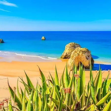 Paradise Sunshine Lejlighed