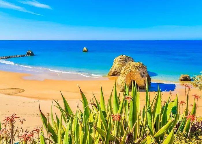 Paradise Sunshine Apartman